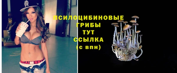 Альфа ПВП Богородицк
