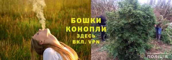 Альфа ПВП Богородицк