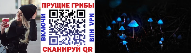 где купить наркоту  Можайск  Псилоцибиновые грибы MAGIC MUSHROOMS 